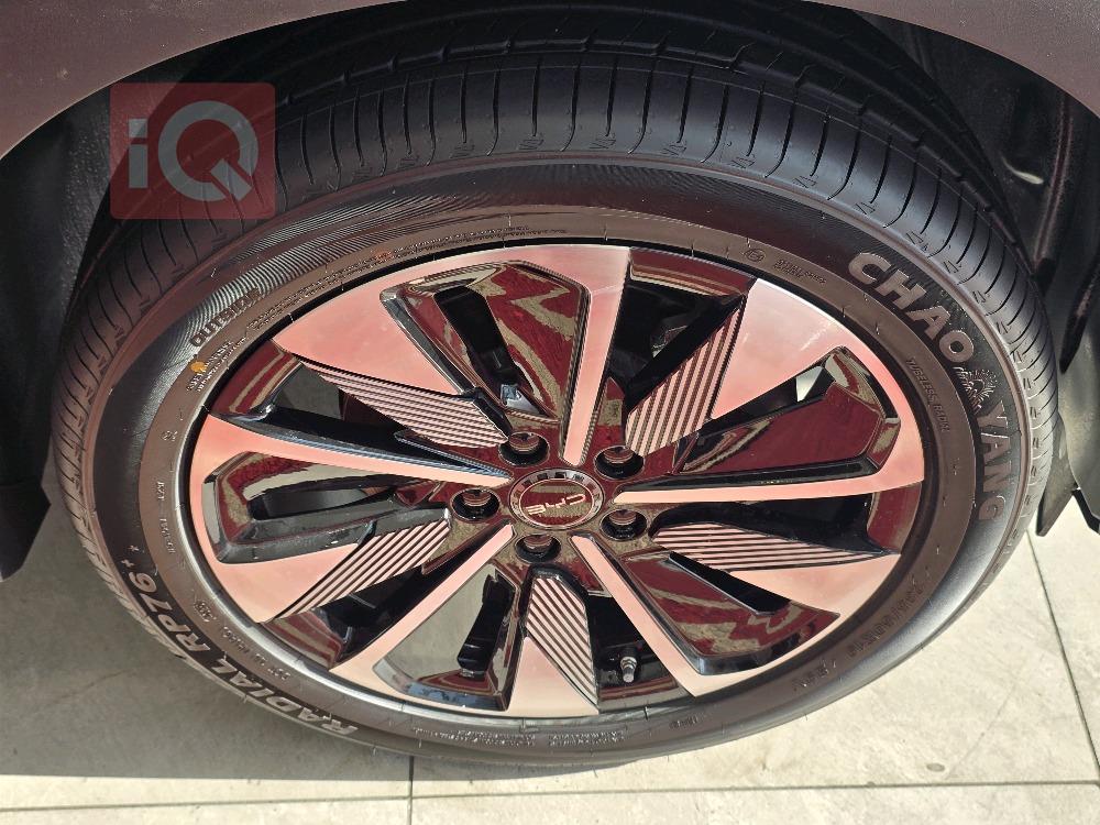 بي واي دي سونغ بلس